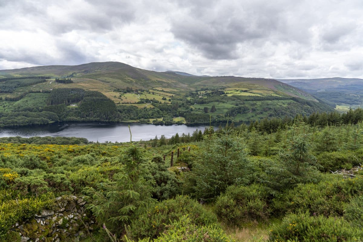 Wicklow Mountains