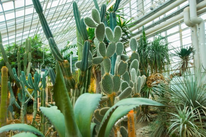 Aarhus Botanical Garden