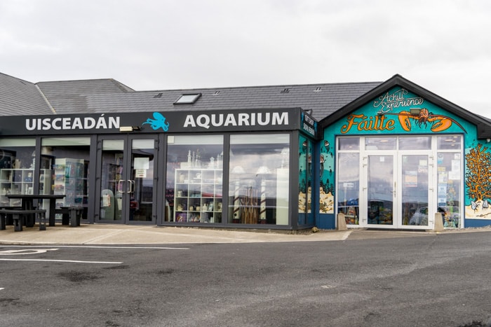 Achill Aquarium