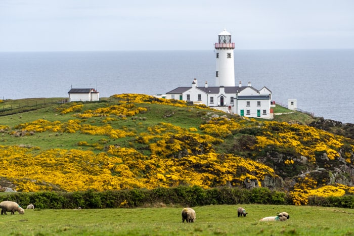 Fanad Head Lighthouse
