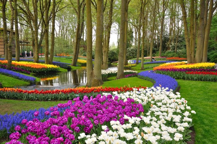 Keukenhof Park