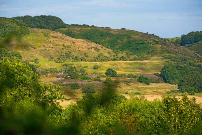 Rebild National Park