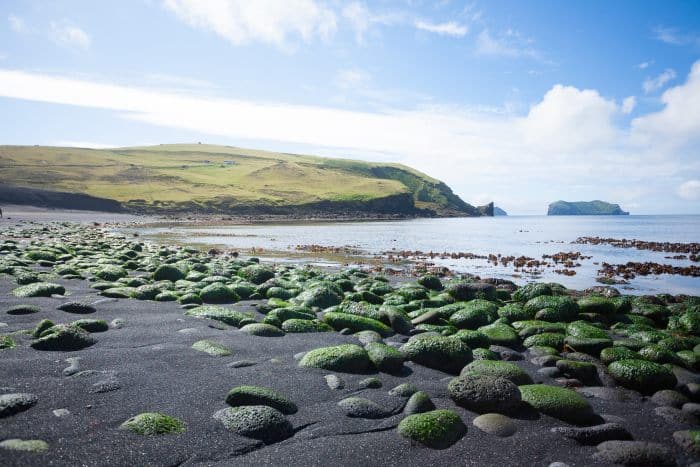 Vestmannaeyjar Island Beach
