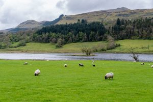 Beautiful Irish Countryside