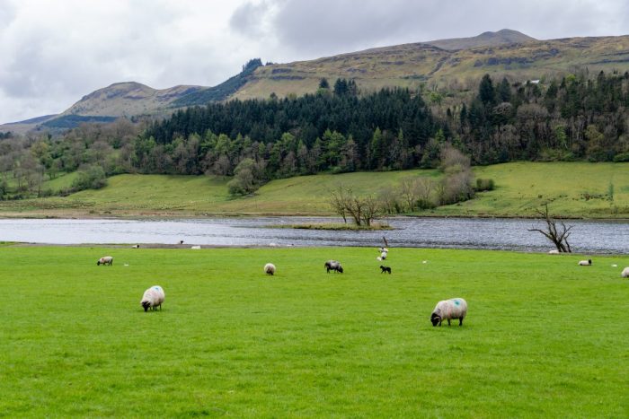 Beautiful Irish Countryside