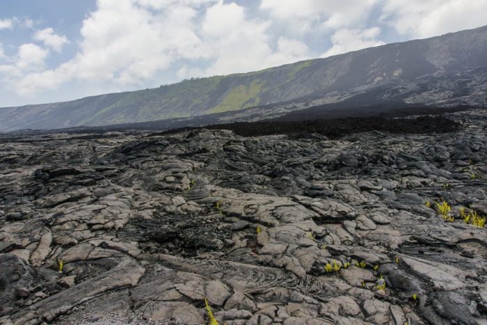 Alanui Kahiko in Hawaii Volcanoes National Park