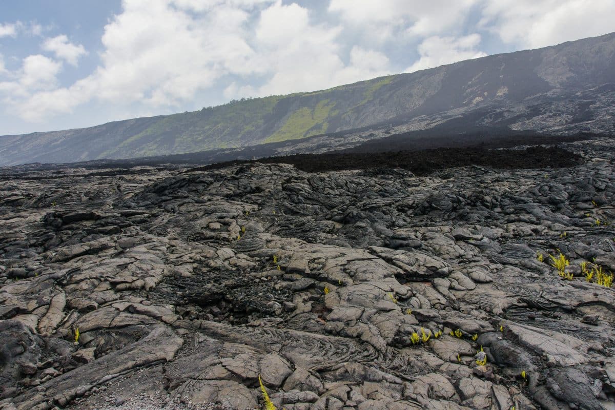 Alanui Kahiko in Hawaii Volcanoes National Park