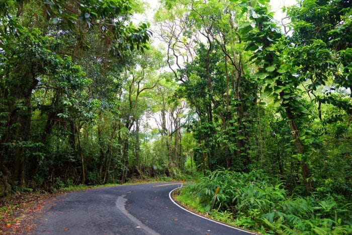 Famous Road to Hana
