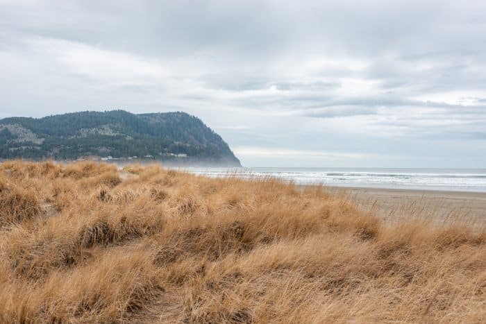 Oregon Coast during winter