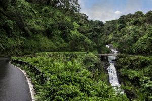 Famous Road to Hana