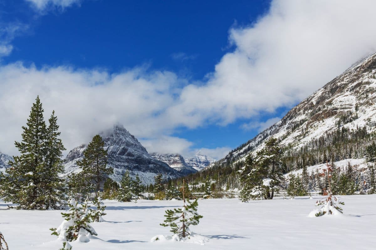 Glacier NP during winter
