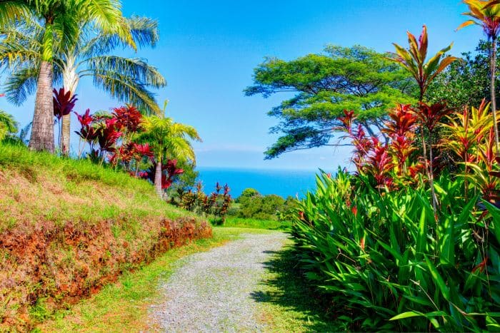 Garden Of Eden in Maui
