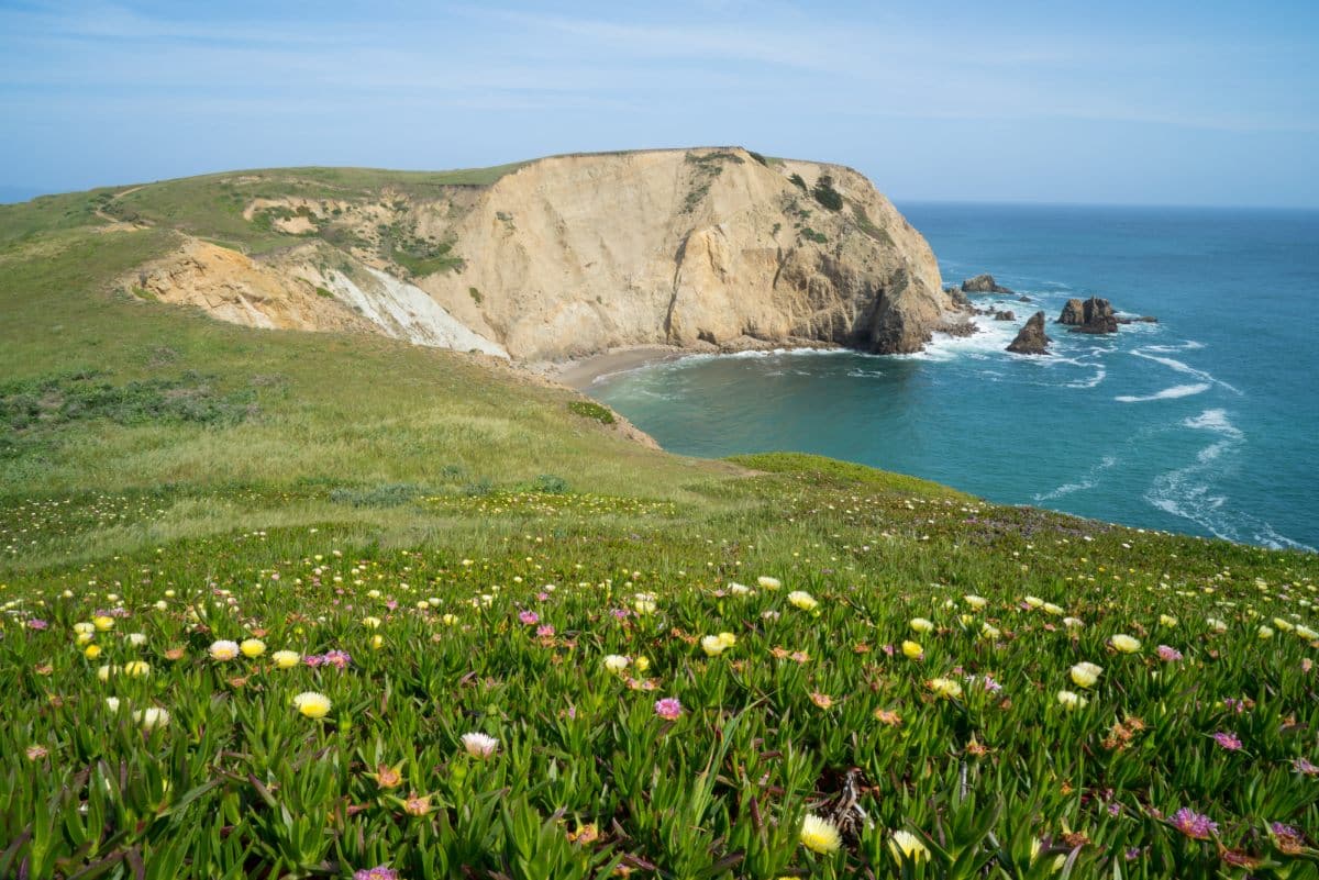 Beautiful Northern Coast in California