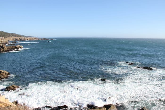 Salt Point State Park