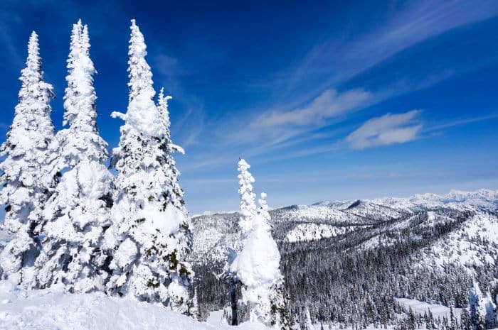 Winter Views from Whitefish, Montana