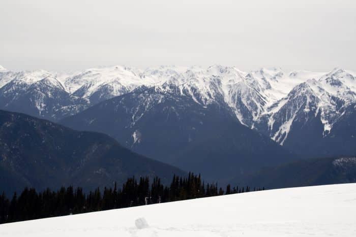 Hurricane Ridge in Olympic NP