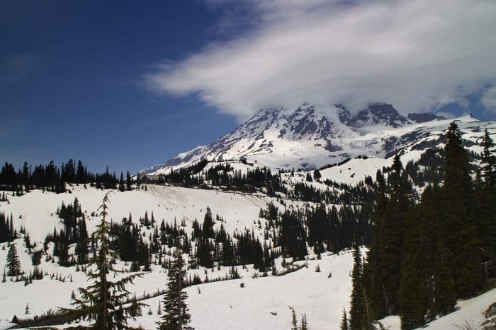 Snowy Mt Rainier
