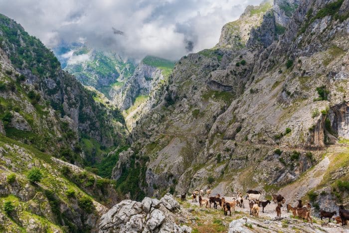Hiking in Picos de Europa