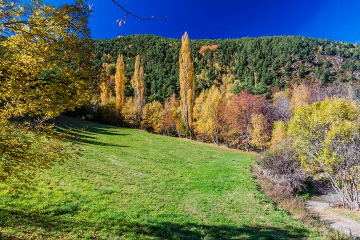Countryside near La Massana