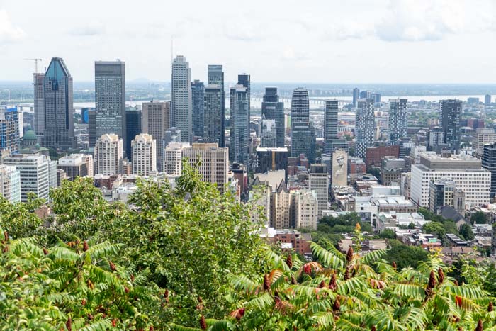 View from Mount Royal Park
