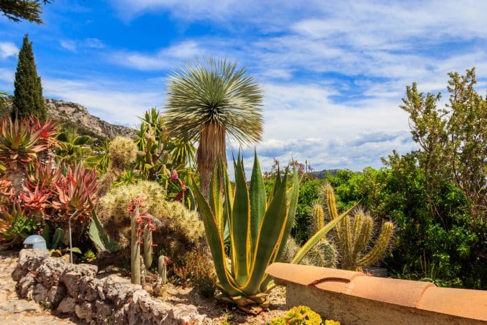 Jardin Exotique d’Eze