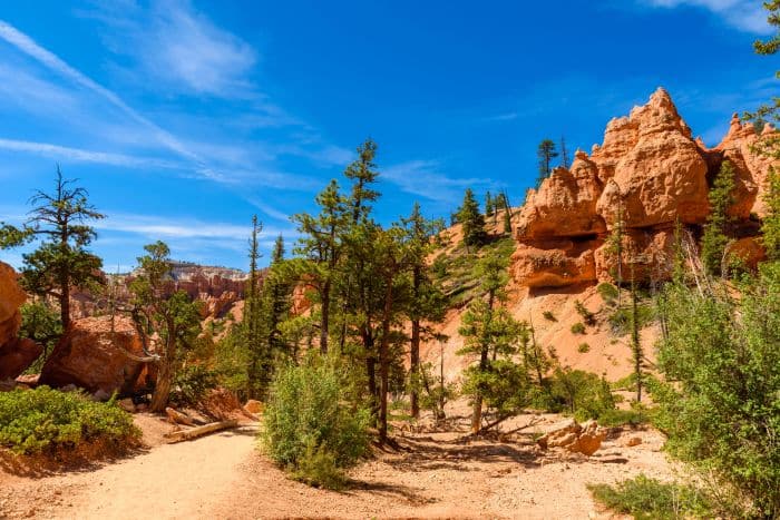 Hiking on Queen’s Garden Trail