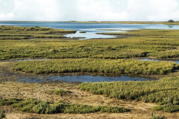 Ria Formosa Marshlands