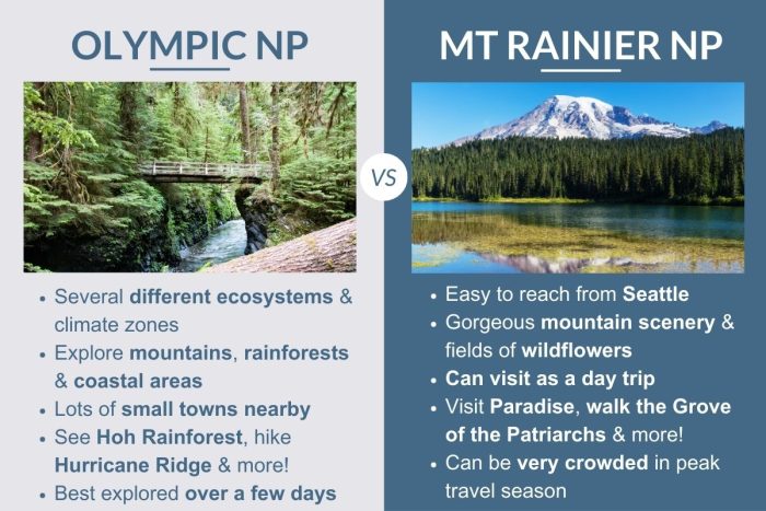 An infographic describing the differences between Olympic & Mt Rainier National Parks in Washington