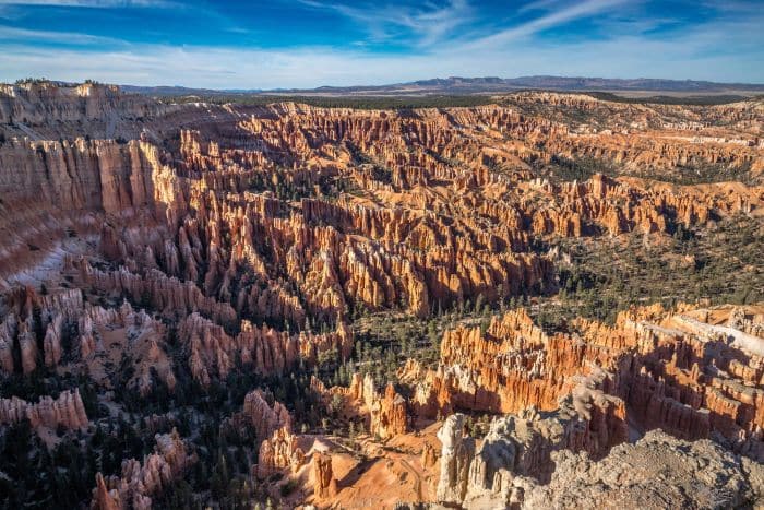 View from Bryce Point