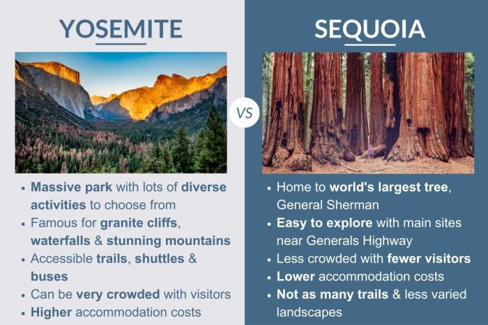 An infographic describing the differences between Yosemite and Sequoia National Parks in California