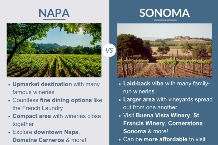 An infographic describing the differences between Napa and Sonoma in California