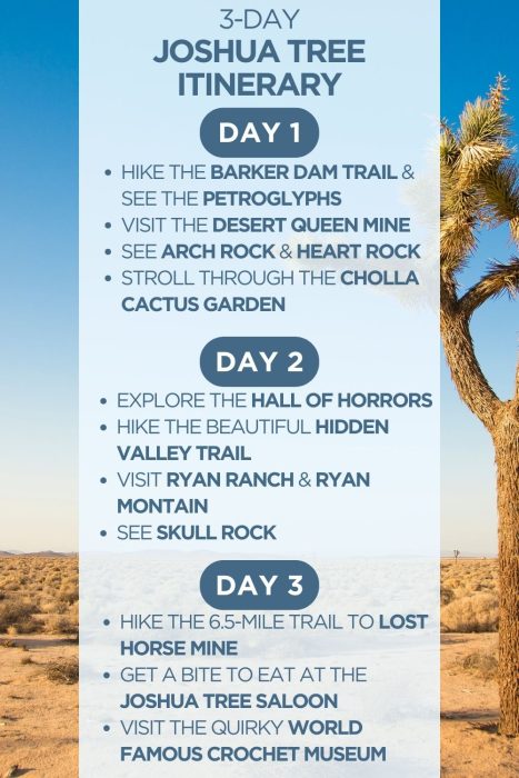 An infographic outlining a 3-day itinerary for Joshua Tree National Park in California