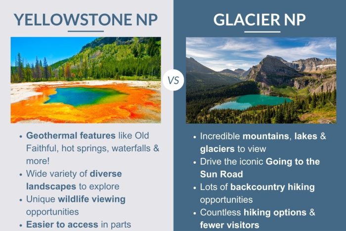 An infographic describing the differences between Yellowstone and Glacier National Parks