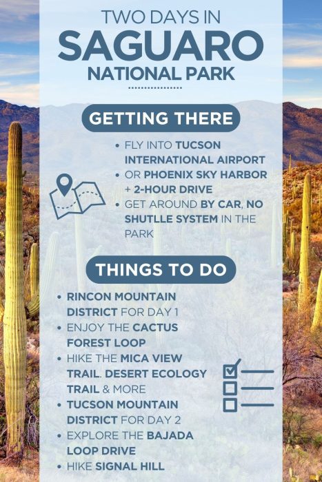An infographic outlining highlights of a 3-day itinerary for Saguaro National Park