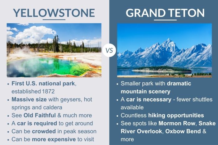 An infographic describing the differences between Yellowstone & Grand Teton