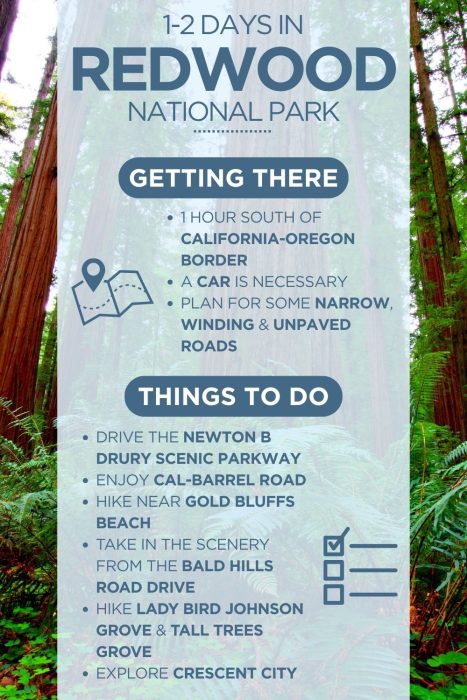 An infographic outlining the highlights of spending a day in Redwood National Park